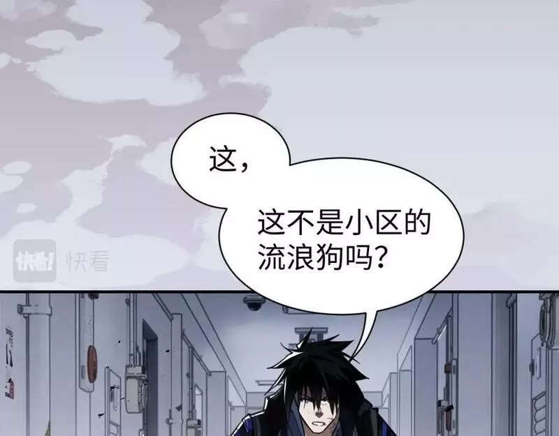 末世召唤狂潮,第1话 重回末世第一天,第183张